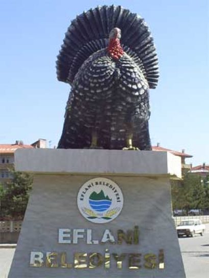 Eflani Hindi Festivali