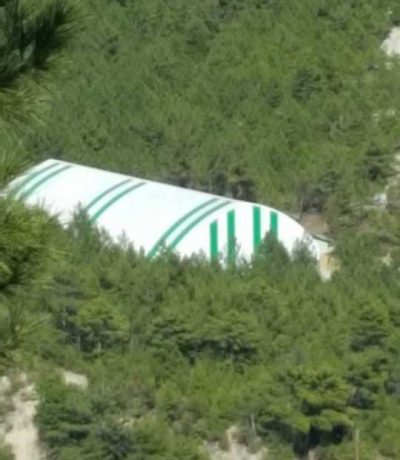 Kent Orman Arena Halı Saha & Paintball