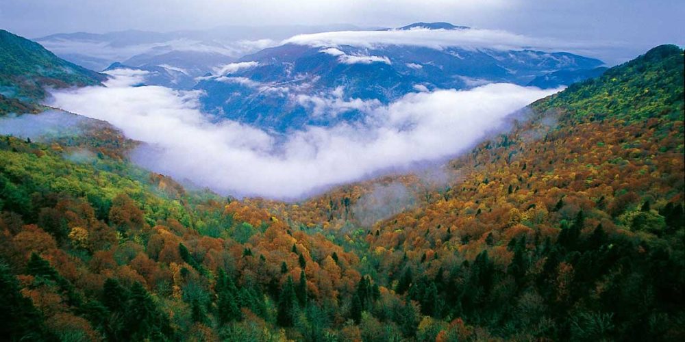 Fotoğraf Tutkunları Yenice’de Buluşuyor