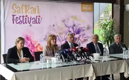 Dünyanın En Pahalı Baharatı Safranbolu 'da Festivalle Hasat Edilecek