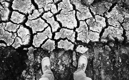 Kuraklık, bırakın diz boyunu, boyumuzu katbekat geçti