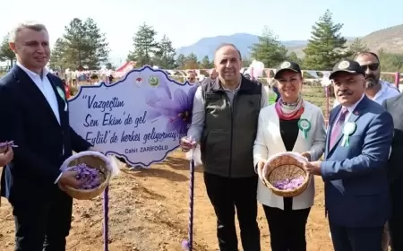 Safran Festivali Safran Hasadı Yapılamadan Sona Erdi