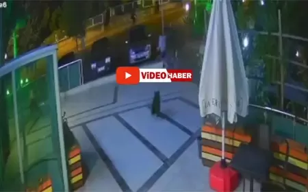 Karabük'te Ayılar Korku Saçıyor, Çocuklar Son Anda Kaçtı