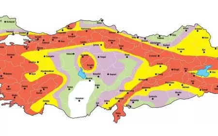 Marmara Bölgesi’nde Büyük Deprem Tehlikesi: Japon Uzman Uyardı