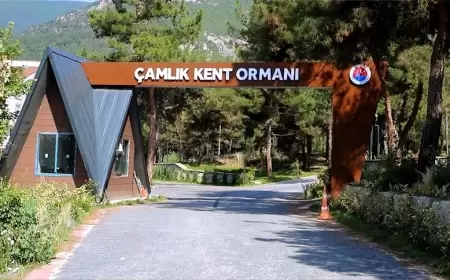 Karabük Çamlık Kent Ormanı: Şehrin Merkezinde Bir Doğa Cenneti