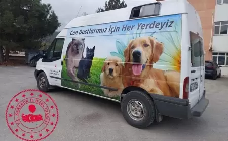 Karabük’te Sokak Hayvanlarına Mama ve Mikroçip Desteği