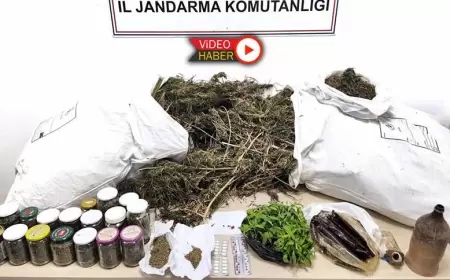 Karabük Jandarması’ndan Zehir Tacirlerine Büyük Darbe